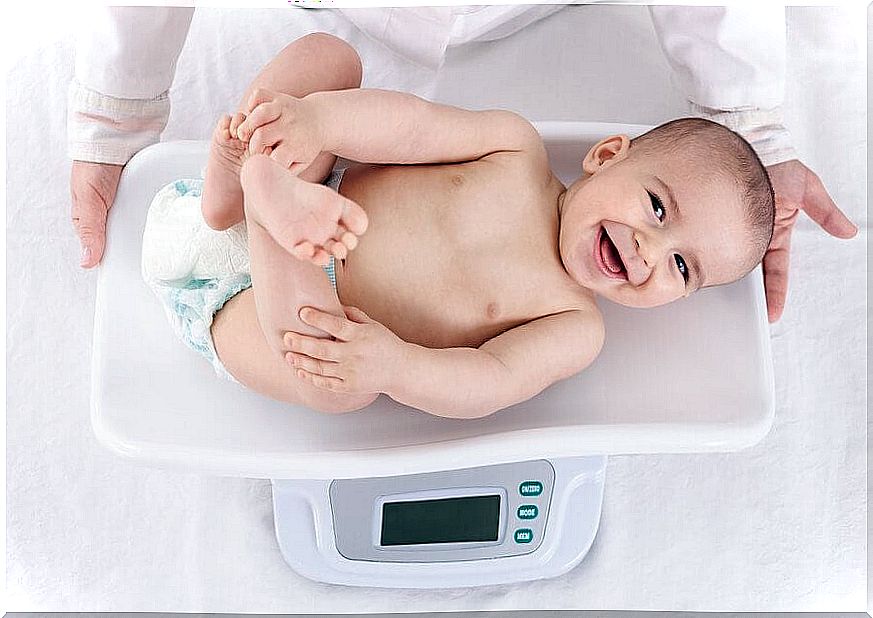 Development of baby weight in the first year of life