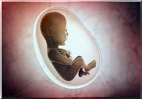 Fetal growth retardation