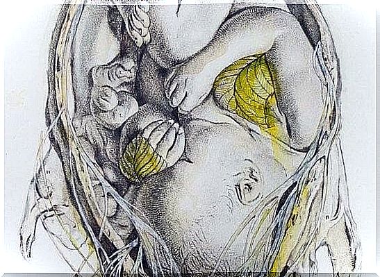 drawing of baby in the womb