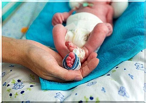 The nutrition of a premature baby plays a very important role in the health and weight gain of the baby