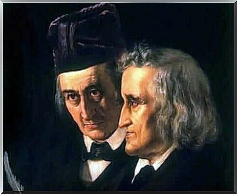 The Impact of the Grimm Brothers Stories